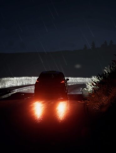 Destaque de WRC 9