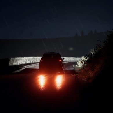 Destaque de WRC 9